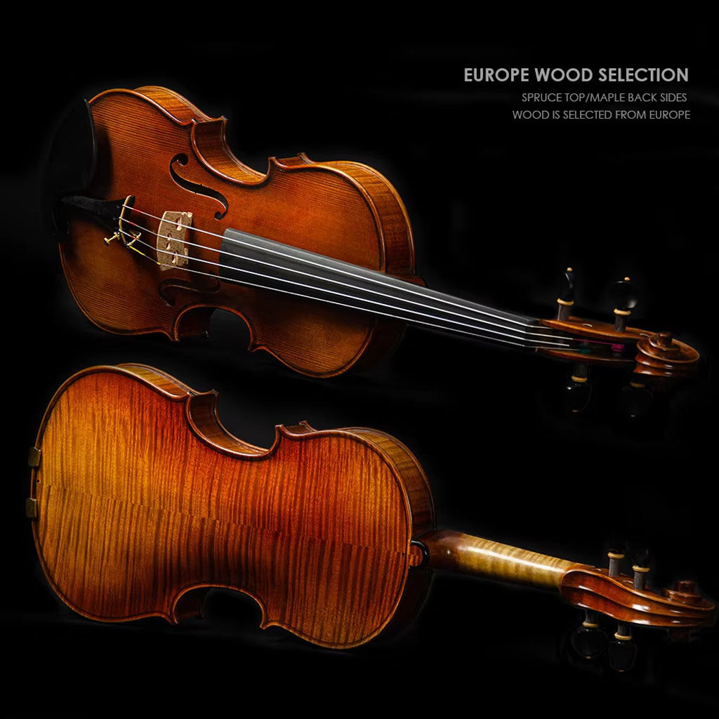 CHRISTINA S300A Professional Violin – Back View, Flamed Maple