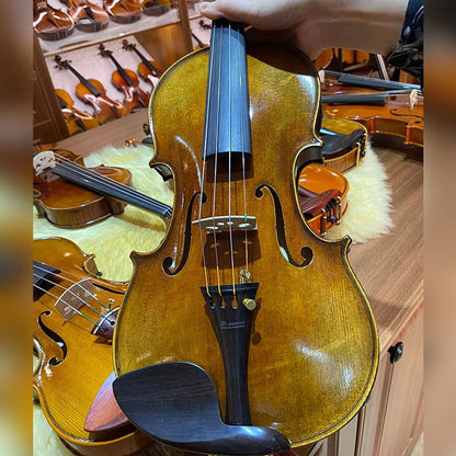 S100A Violin – Side Profile Detail