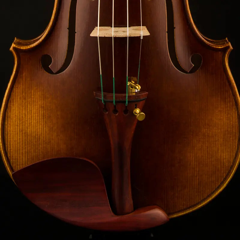 CHRISTINA S600A Imperial Violin – Concert Master Handmade Acoustic Instrument