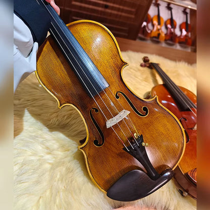 CHRISTINA V11 Handmade Violin – Bridge and Strings Close-up