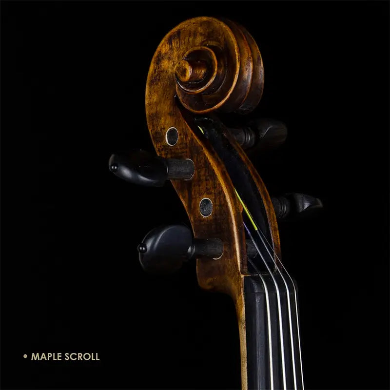 Close-up of a violin's maple scroll on a black background