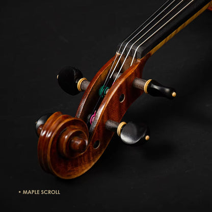 CHRISTINA S300A Professional Violin – Bridge and Strings Close-up