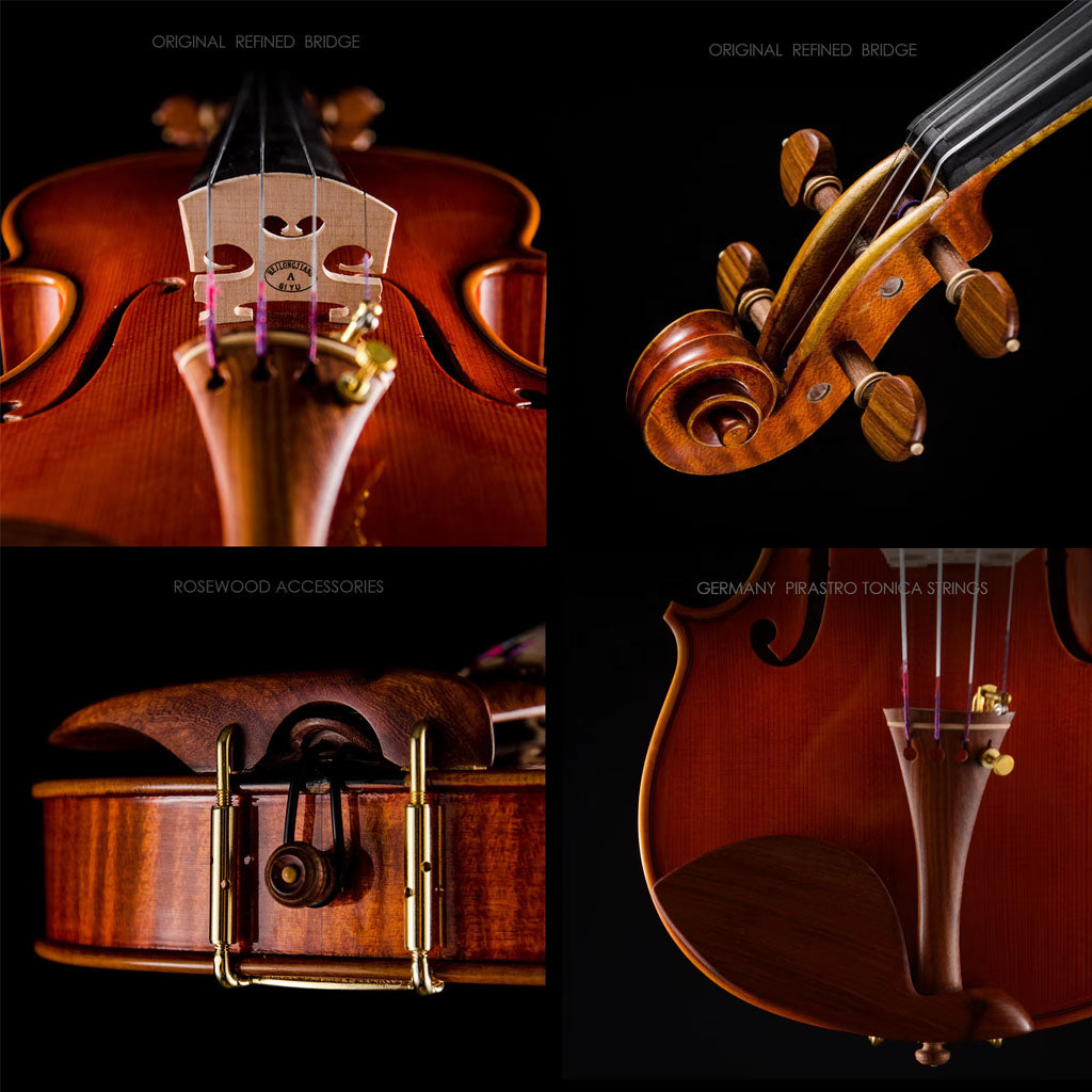 S100A Violin – Bridge and Strings Close-up