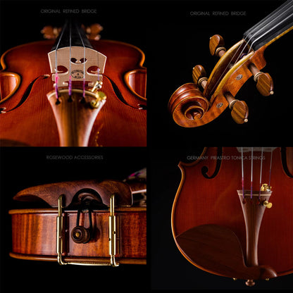 S100A Violin – Bridge and Strings Close-up