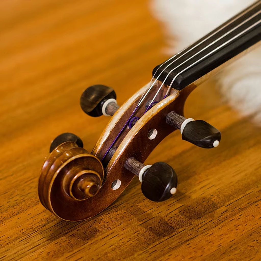 CHRISTINA V07B Handmade Violin – Full Outfit with Case, Bow & Accessories
