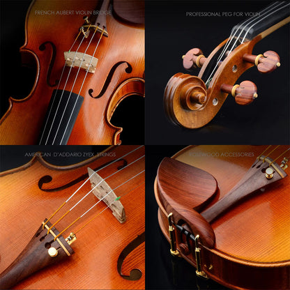 CHRISTINA V09 S-1 Handmade Violin – Bridge and Strings Close-up