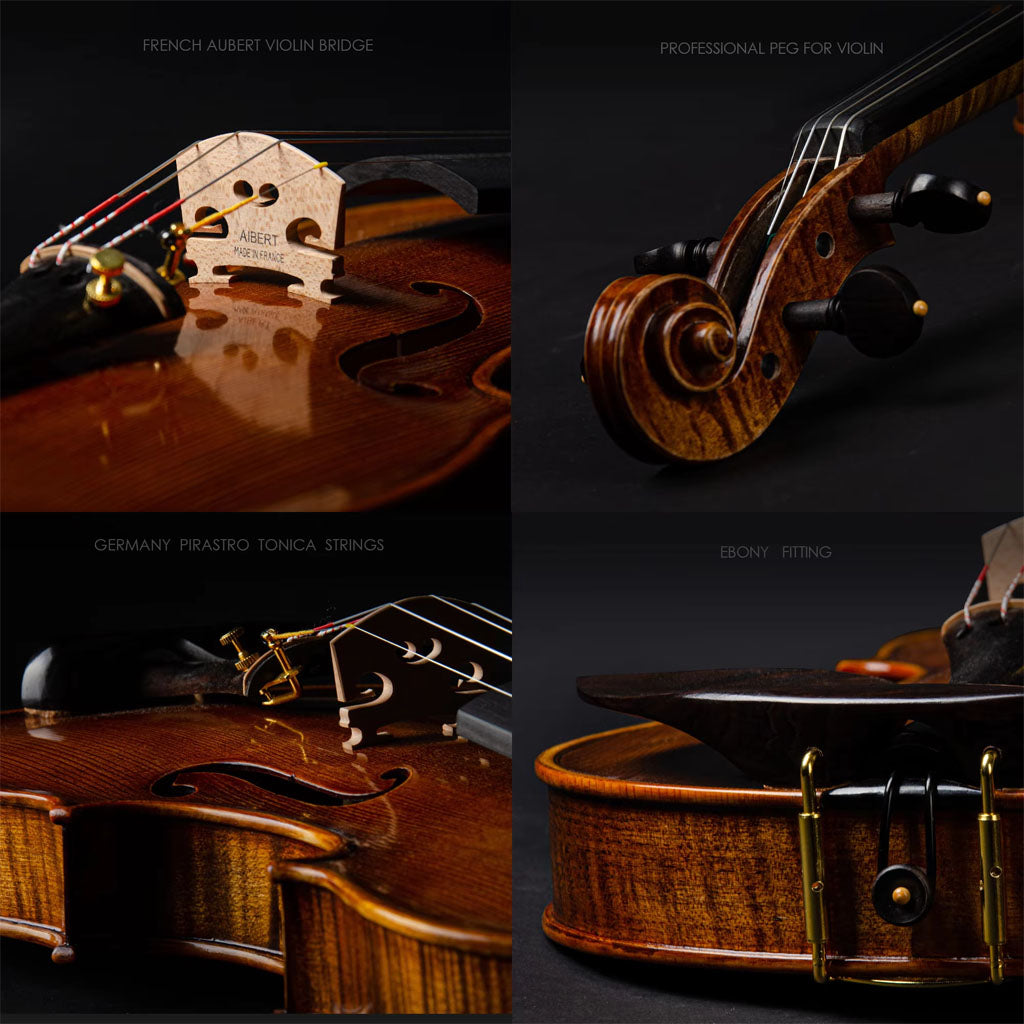 CHRISTINA V11 Handmade Violin – Full Kit with Case, Bow & Accessories