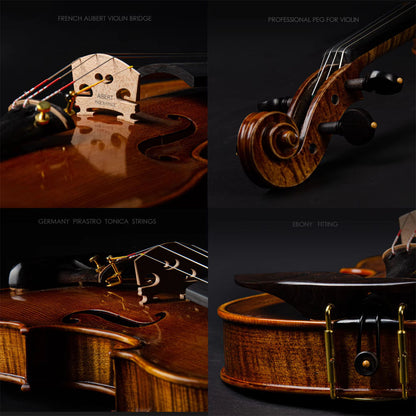 CHRISTINA V11 Handmade Violin – Full Kit with Case, Bow & Accessories
