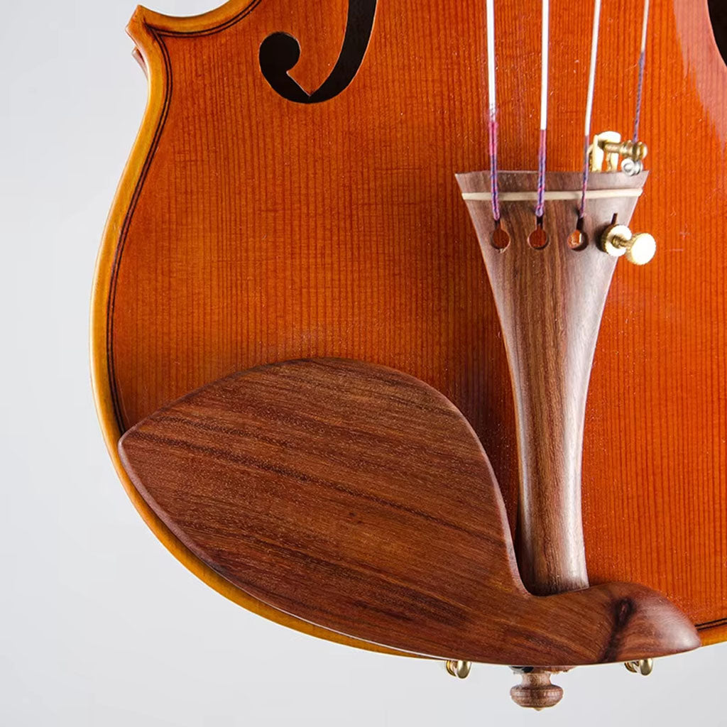 S100A Violin – Full Kit with Case and Bow