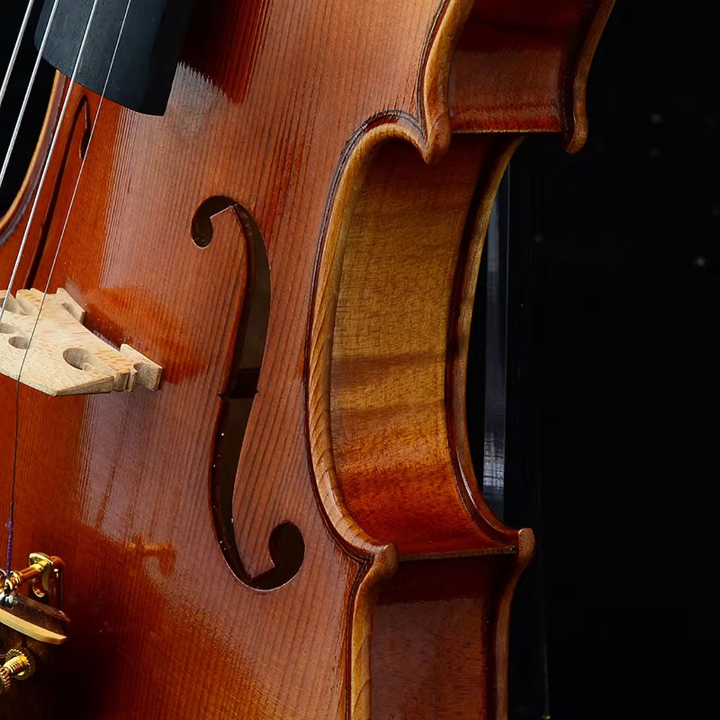 CHRISTINA V09 S-1 Handmade Violin – Body Craftsmanship Detail