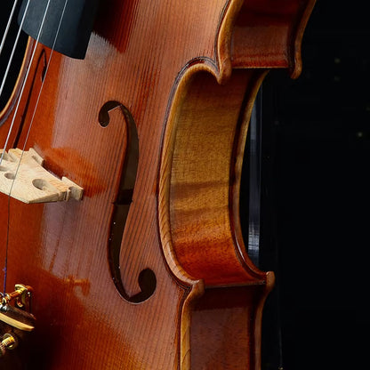 CHRISTINA V09 S-1 Handmade Violin – Body Craftsmanship Detail