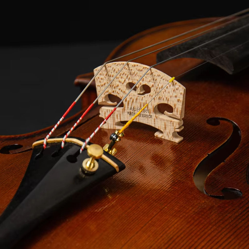 CHRISTINA S300A Professional Violin – Full Outfit with Case & Bow