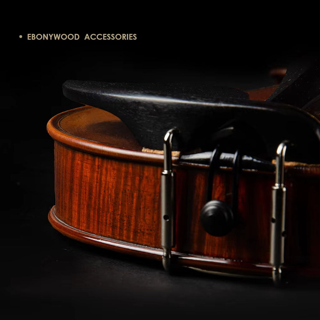 S100B Violin – Back View, Maple Back Construction