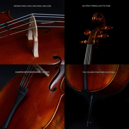 Christina C07 Professional Handmade Cello Kit - carbon fiber case + bow - CHRISTINA