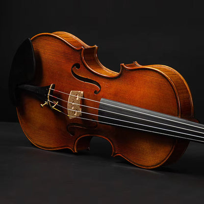 CHRISTINA S300A Professional Violin – Side Profile Detail