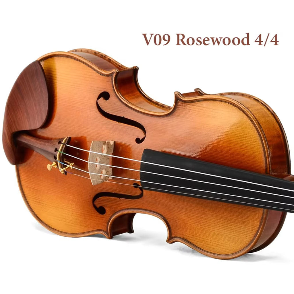 CHRISTINA V09 S-1 Handmade Violin – Full Outfit with Case & Bow