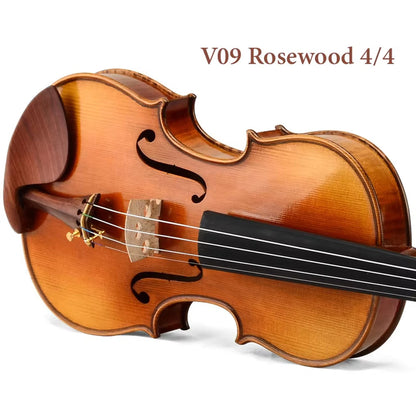 CHRISTINA V09 S-1 Handmade Violin – Full Outfit with Case & Bow