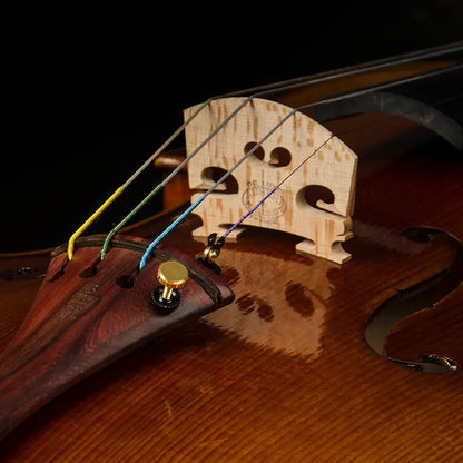 CHRISTINA S700 Violin Royal Concert Master – Handmade Violin 4/4 | Christina Violin Australia