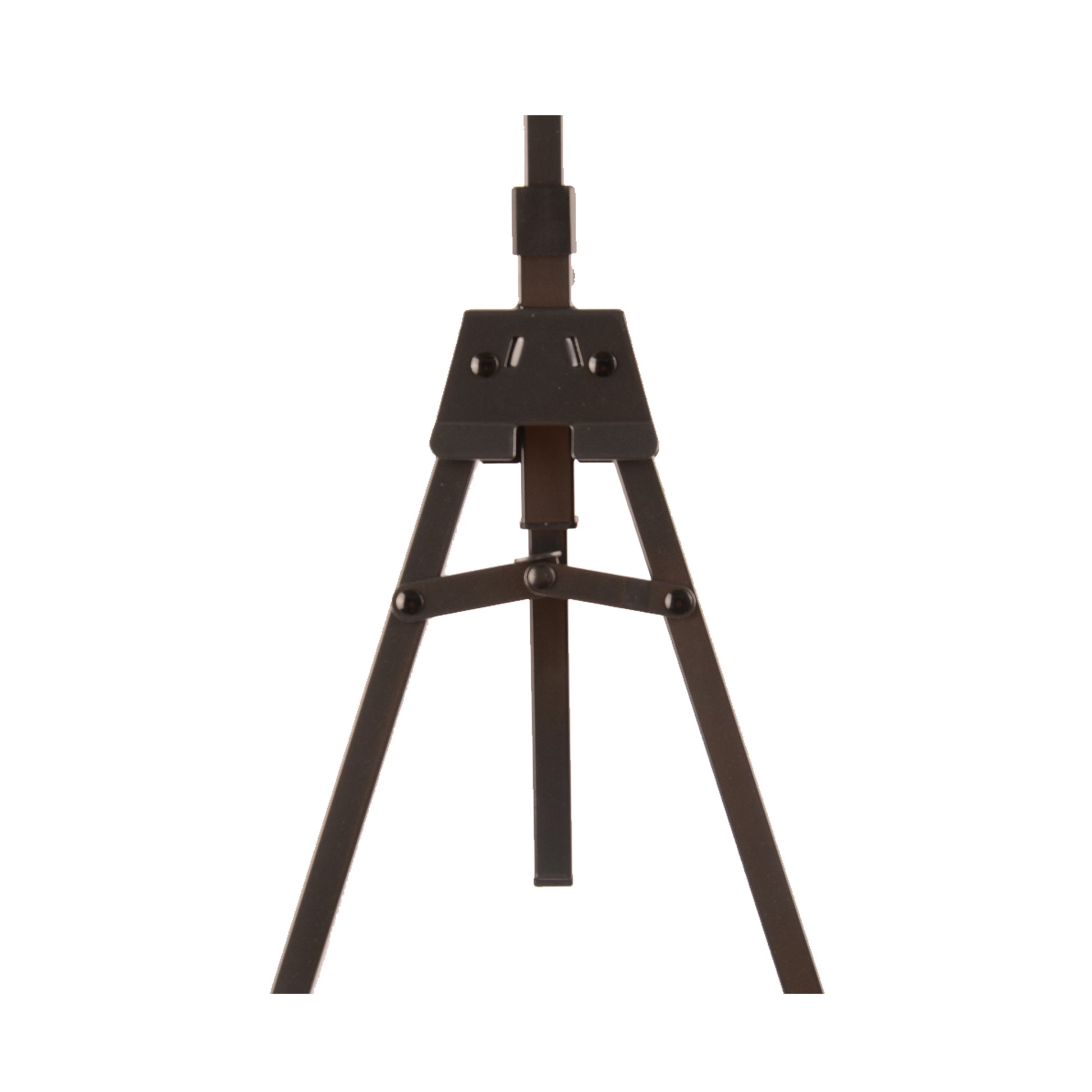 Cello Stand – Weight and Dimensions Infographic