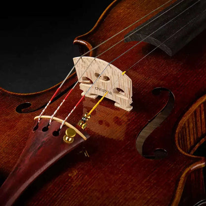 CHRISTINA S200B Carved Professional Acoustic Violin – European Spruce & Maple Handmade Instrument