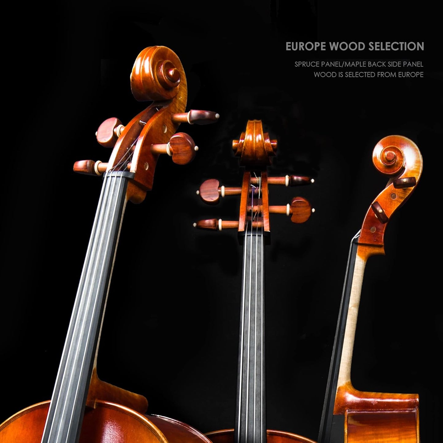 Christina C06 Professional Cello Instrument, Handmade Full Size Acoustic Cello Kit with Case and Bow - CHRISTINA