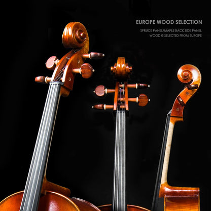 Christina C06 Professional Cello Instrument, Handmade Full Size Acoustic Cello Kit with Case and Bow - CHRISTINA