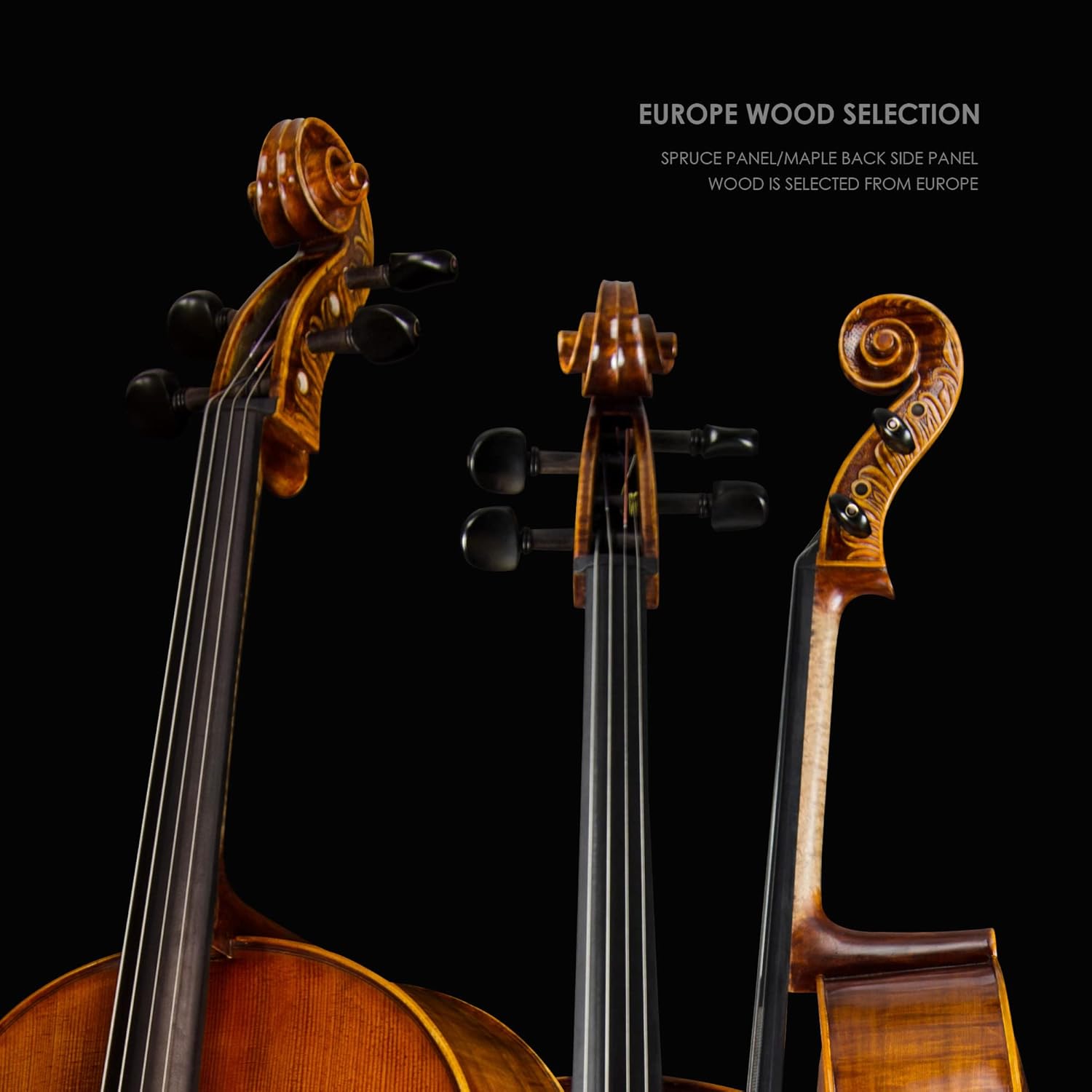 Christina C08 4/4 Full Size Cello Kit with Carbon Fiber Case and Bow - CHRISTINA