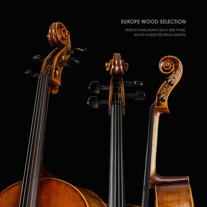 Christina C08 4/4 Full Size Cello Kit with Carbon Fiber Case and Bow - CHRISTINA
