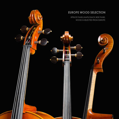 Christina C09A 4/4 Professional Handmade Cello Kit for Adults with Carbon Fiber Case & Bow - CHRISTINA