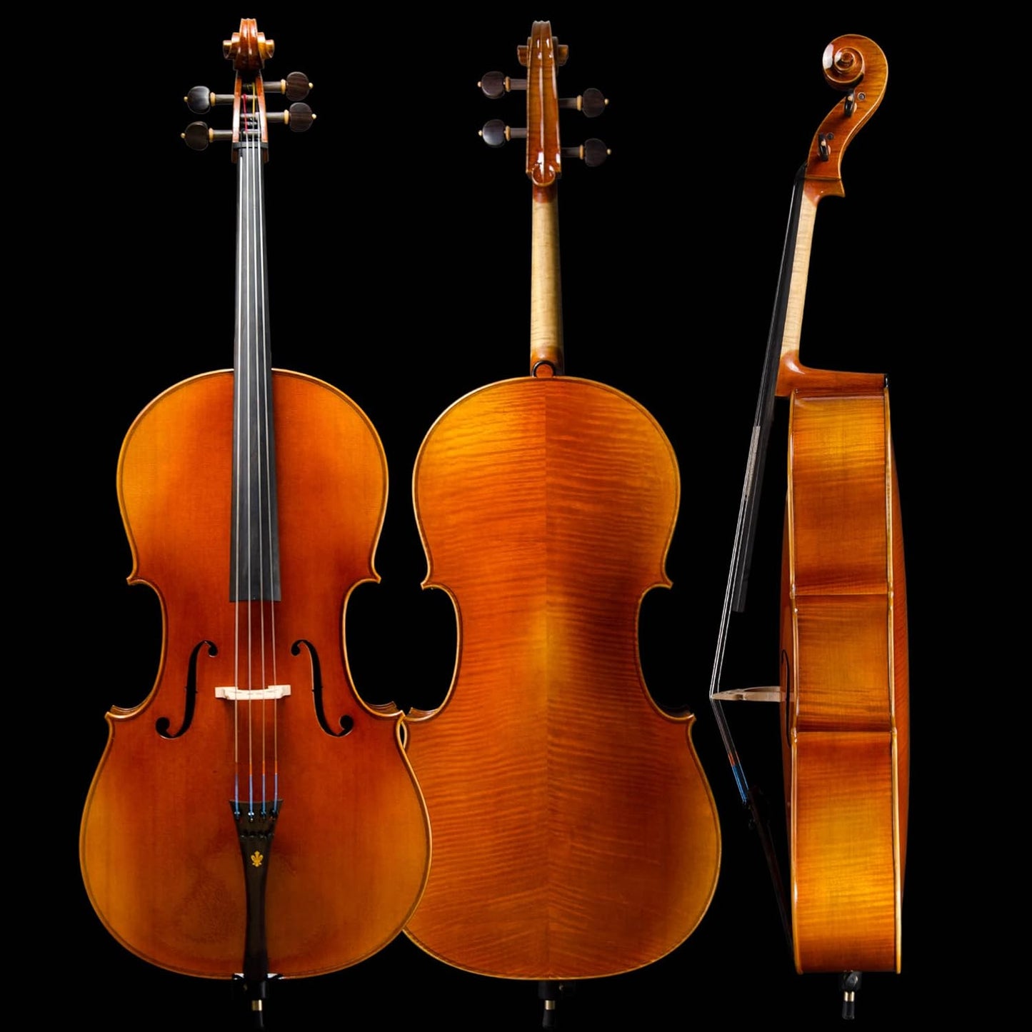 Christina C09A 4/4 Professional Handmade Cello Kit for Adults with Carbon Fiber Case & Bow - CHRISTINA