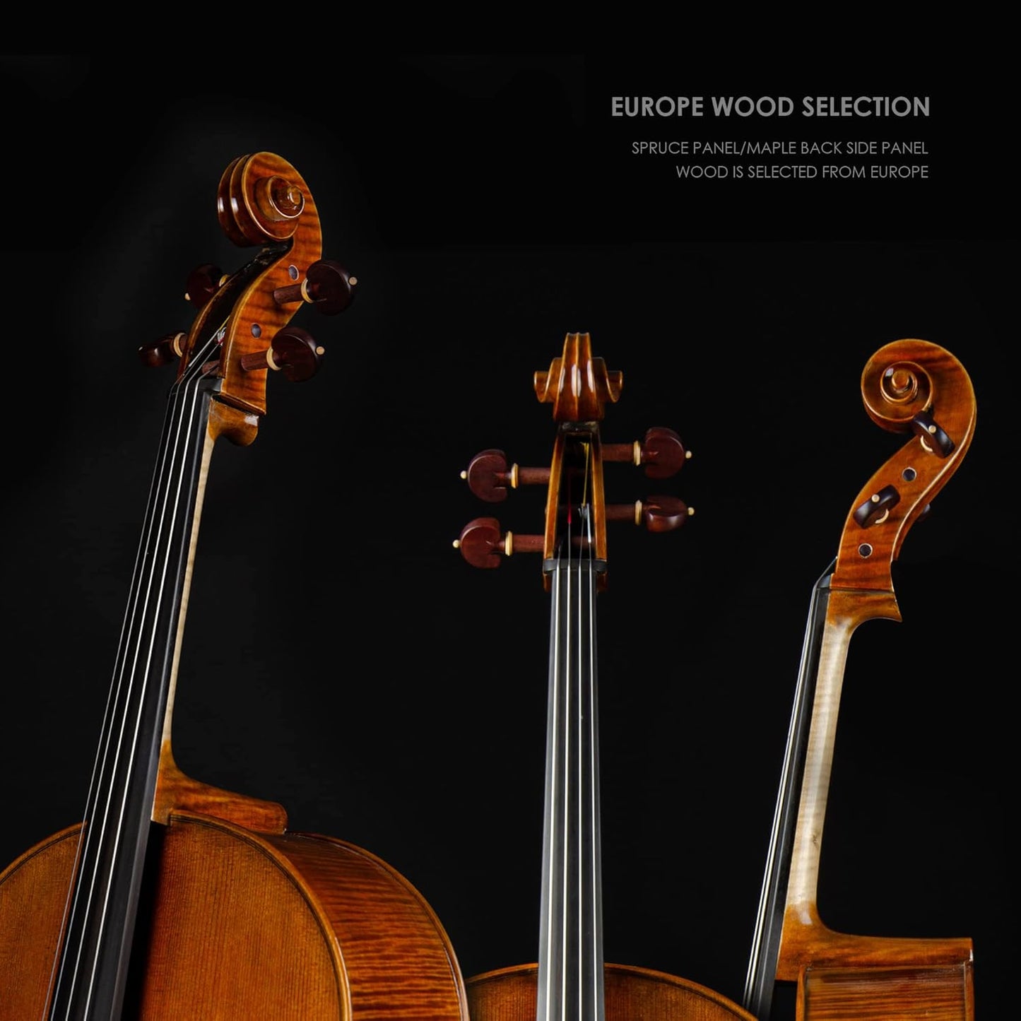 Christina C09B 4/4 Professional Handmade Cello Kit with Carbon Fiber Case and Bow - CHRISTINA