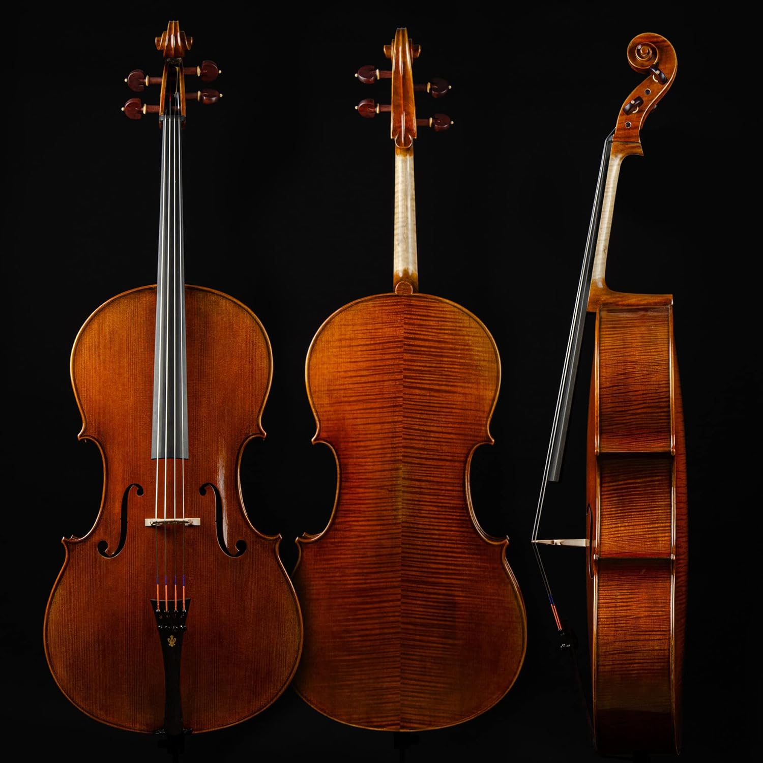 Christina C09B 4/4 Professional Handmade Cello Kit with Carbon Fiber Case and Bow - CHRISTINA