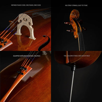 Christina C09C Full Size 4/4 Handmade Cello Kit for Adults with Carbon Fiber Case & Bow - CHRISTINA