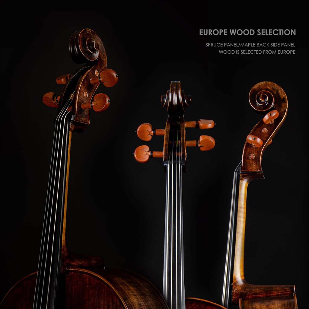 Christina Muse Carbon Fiber Cello – Body Detail and F-holes Close-up