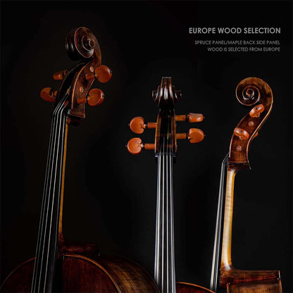 Christina Muse Carbon Fiber Cello – Body Detail and F-holes Close-up