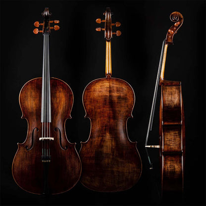Christina Muse Carbon Fiber Cello Kit – Front View, Professional Student Cello