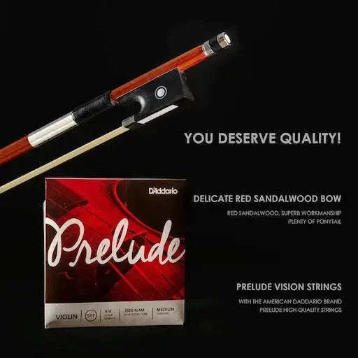 Beginner CHRISTINA V04 Violin Full Size – Complete Kit with Case & Essentials